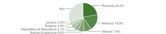 Grafico cittadinanza stranieri - Ponte dell'Olio 2018