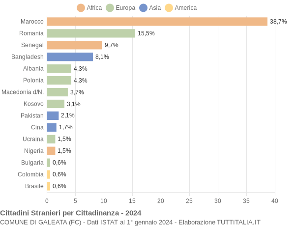 Grafico cittadinanza stranieri - Galeata 2024