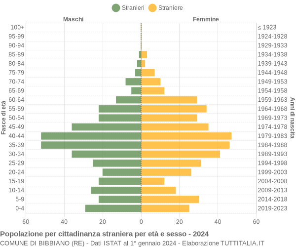 Grafico cittadini stranieri - Bibbiano 2024