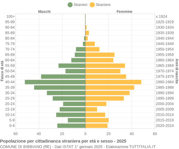Grafico cittadini stranieri - Bibbiano 2025
