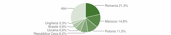 Grafico cittadinanza stranieri - Goro 2009