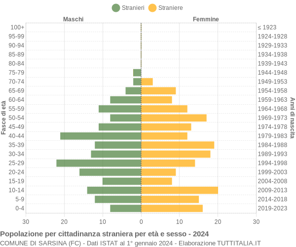 Grafico cittadini stranieri - Sarsina 2024