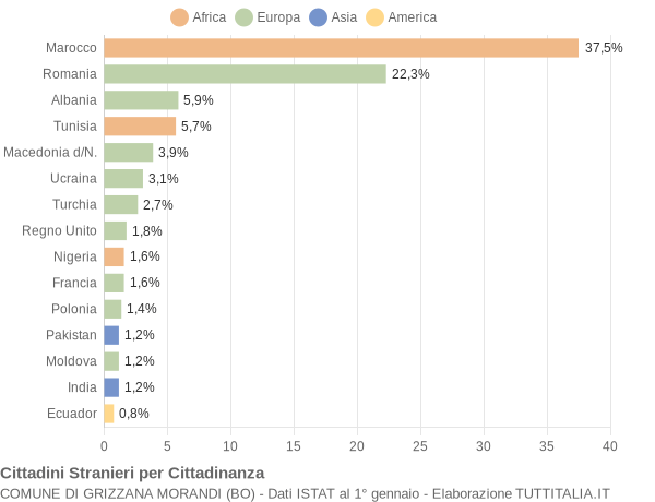 Grafico cittadinanza stranieri - Grizzana Morandi 2009