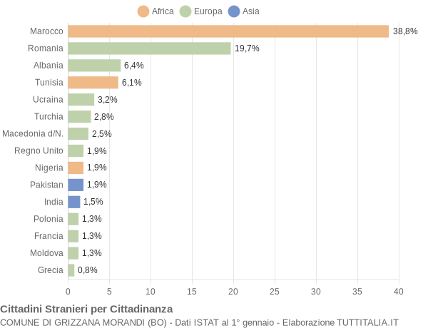 Grafico cittadinanza stranieri - Grizzana Morandi 2010