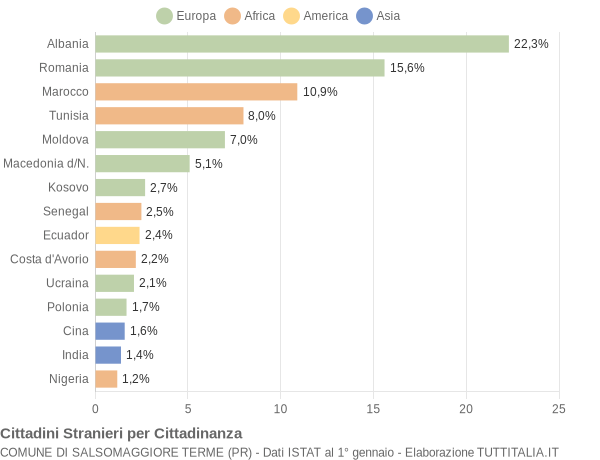 Grafico cittadinanza stranieri - Salsomaggiore Terme 2015