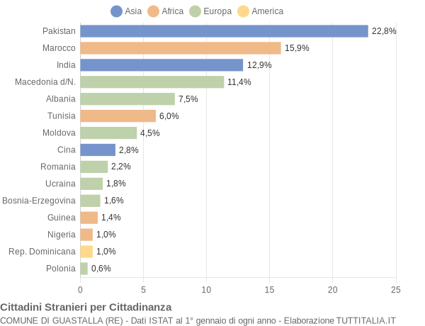 Grafico cittadinanza stranieri - Guastalla 2007