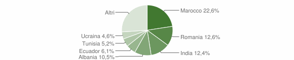 Grafico cittadinanza stranieri - Alseno 2012