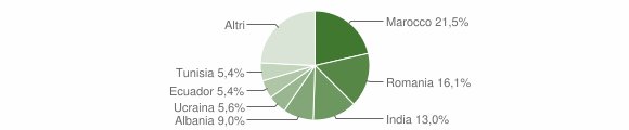 Grafico cittadinanza stranieri - Alseno 2015
