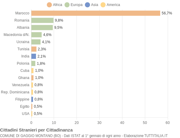 Grafico cittadinanza stranieri - Gaggio Montano 2007