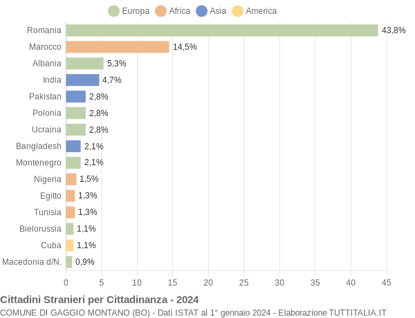 Grafico cittadinanza stranieri - Gaggio Montano 2024