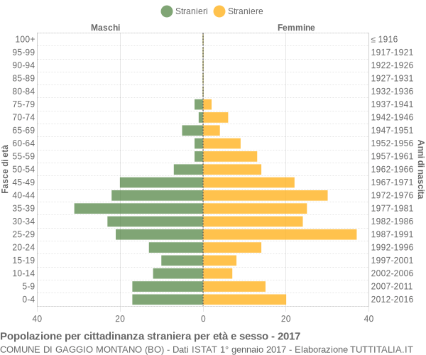 Grafico cittadini stranieri - Gaggio Montano 2017