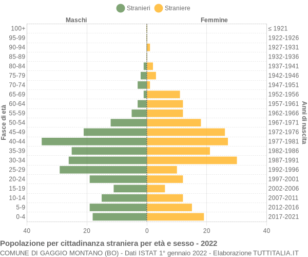 Grafico cittadini stranieri - Gaggio Montano 2022