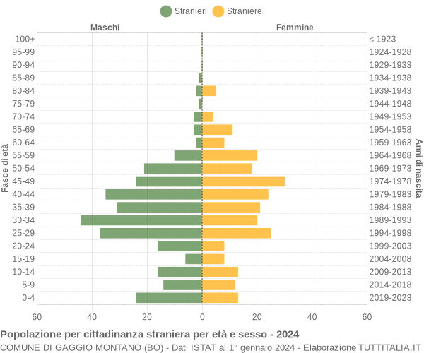 Grafico cittadini stranieri - Gaggio Montano 2024