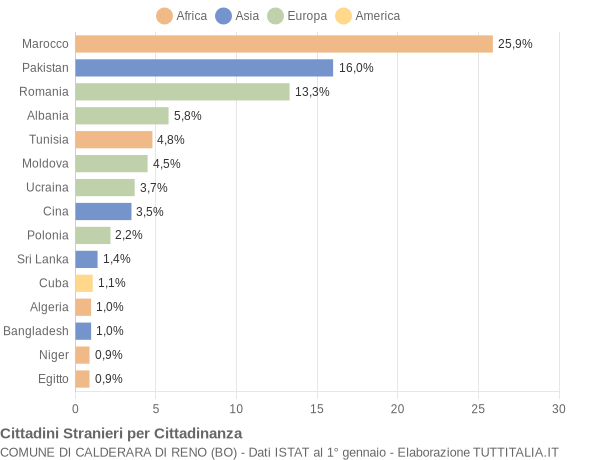 Grafico cittadinanza stranieri - Calderara di Reno 2010