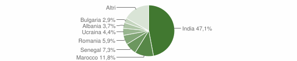 Grafico cittadinanza stranieri - Campegine 2014