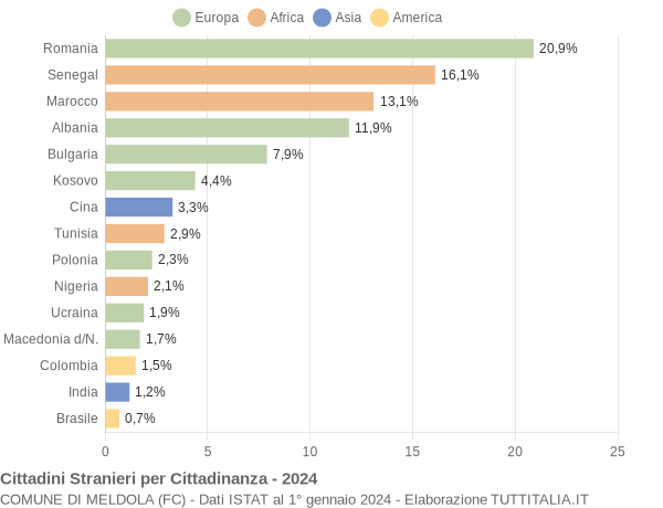 Grafico cittadinanza stranieri - Meldola 2024