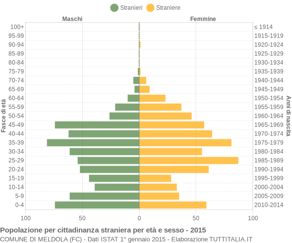 Grafico cittadini stranieri - Meldola 2015