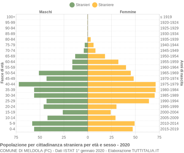 Grafico cittadini stranieri - Meldola 2020