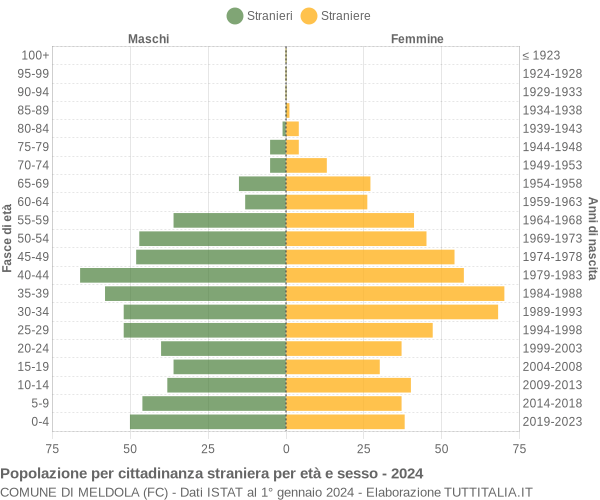 Grafico cittadini stranieri - Meldola 2024