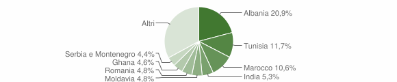 Grafico cittadinanza stranieri - Fontevivo 2006