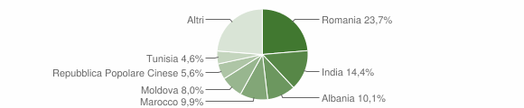 Grafico cittadinanza stranieri - Fontevivo 2023