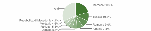 Grafico cittadinanza stranieri - Budrio 2007