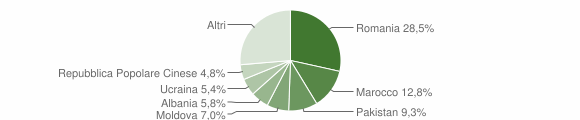 Grafico cittadinanza stranieri - Budrio 2023