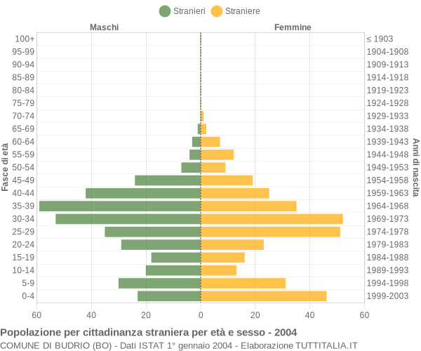Grafico cittadini stranieri - Budrio 2004