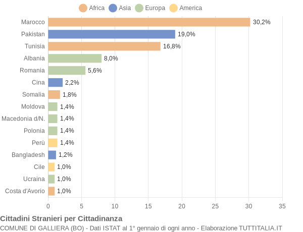 Grafico cittadinanza stranieri - Galliera 2005