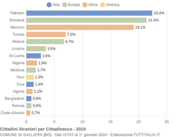 Grafico cittadinanza stranieri - Galliera 2024