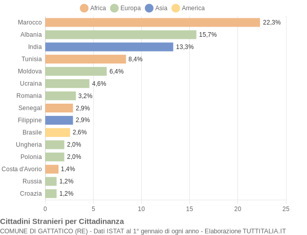 Grafico cittadinanza stranieri - Gattatico 2007