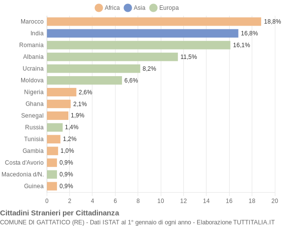 Grafico cittadinanza stranieri - Gattatico 2020