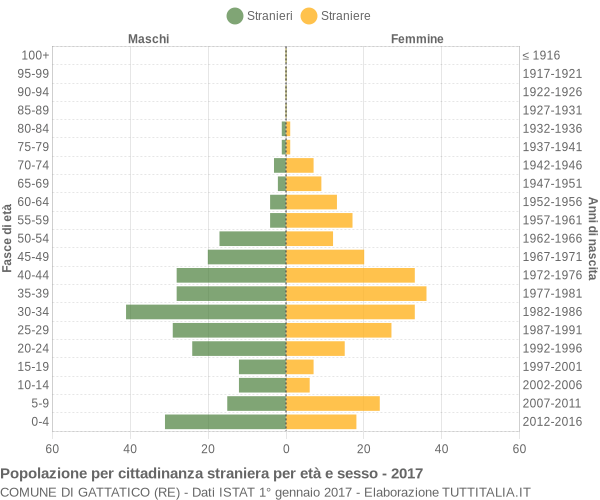 Grafico cittadini stranieri - Gattatico 2017