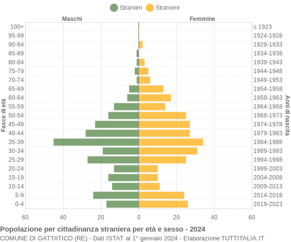 Grafico cittadini stranieri - Gattatico 2024