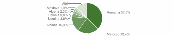 Grafico cittadinanza stranieri - Savigno 2014