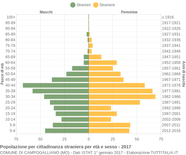 Grafico cittadini stranieri - Campogalliano 2017