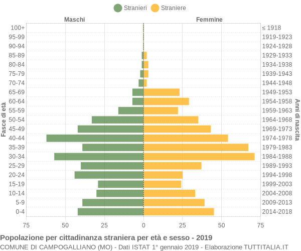 Grafico cittadini stranieri - Campogalliano 2019