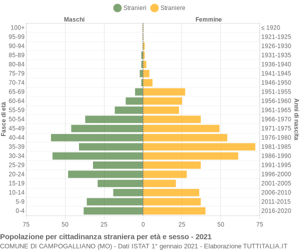 Grafico cittadini stranieri - Campogalliano 2021