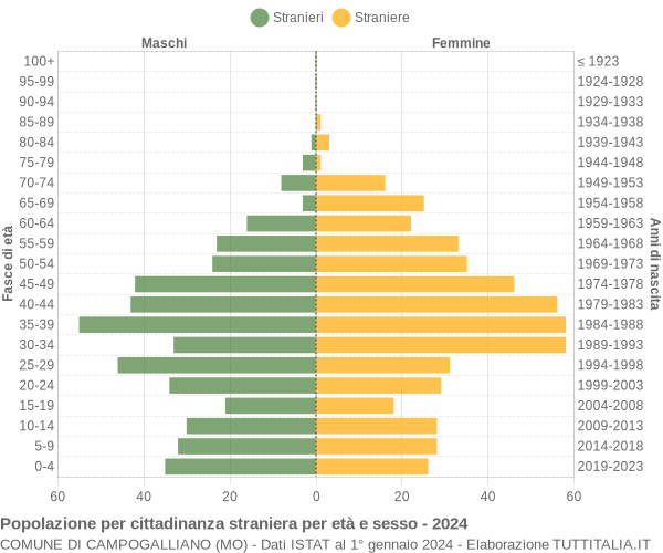 Grafico cittadini stranieri - Campogalliano 2024