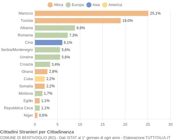 Grafico cittadinanza stranieri - Bentivoglio 2004