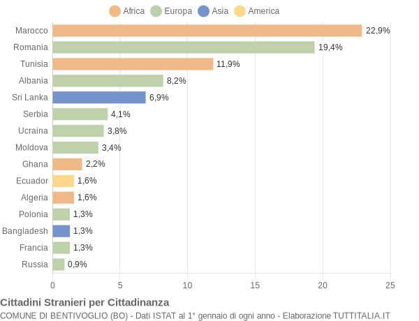 Grafico cittadinanza stranieri - Bentivoglio 2009