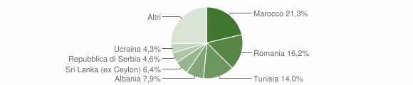 Grafico cittadinanza stranieri - Bentivoglio 2010
