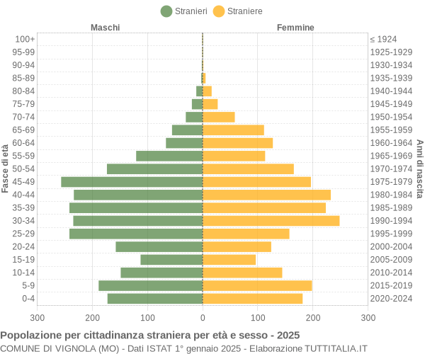 Grafico cittadini stranieri - Vignola 2025