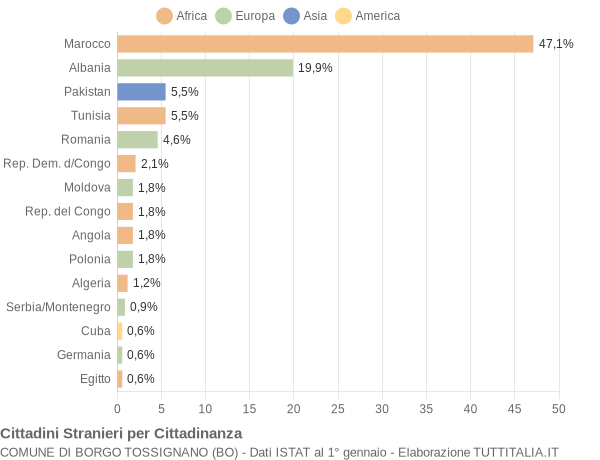 Grafico cittadinanza stranieri - Borgo Tossignano 2005