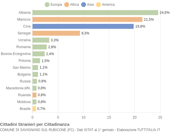 Grafico cittadinanza stranieri - Savignano sul Rubicone 2007