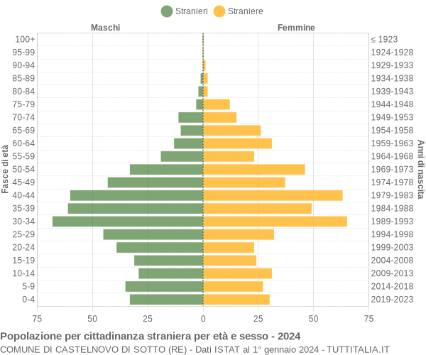 Grafico cittadini stranieri - Castelnovo di Sotto 2024