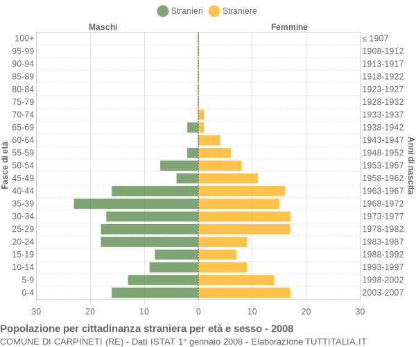Grafico cittadini stranieri - Carpineti 2008