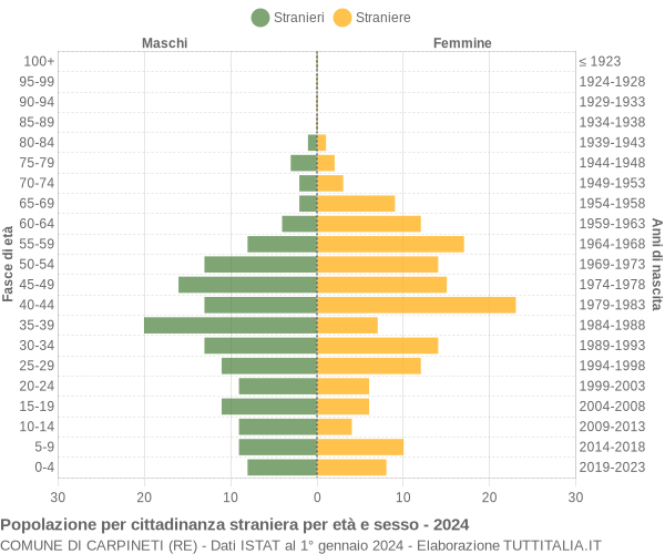 Grafico cittadini stranieri - Carpineti 2024