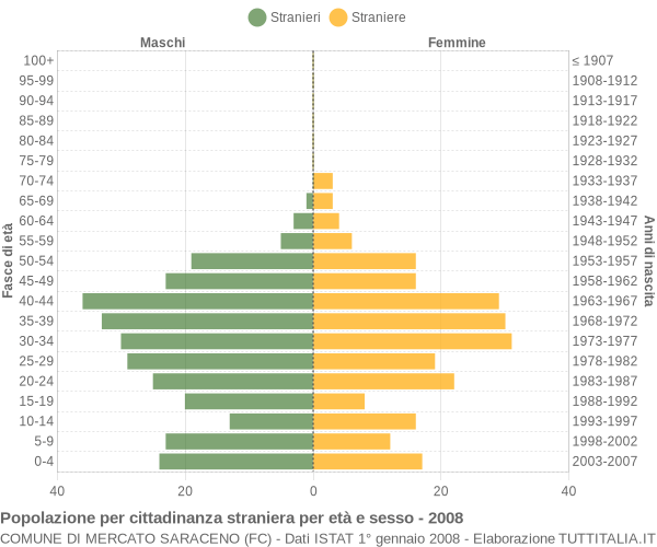 Grafico cittadini stranieri - Mercato Saraceno 2008