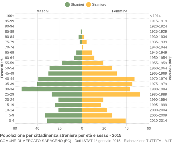 Grafico cittadini stranieri - Mercato Saraceno 2015